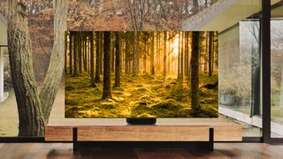 The Samsung QN900B 8K QLED TV with a stunning wooded background.