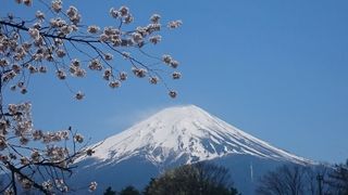 Cherry blossom is an icon of Japan. Image: CC0 Creative Commons