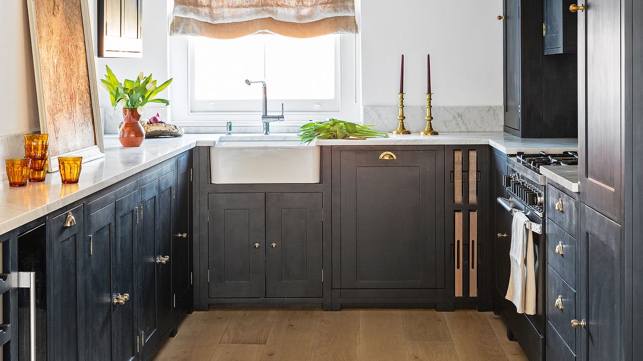 Dark blue galley kitchen