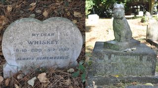 Examples of variation in gravestone design from the People’s Dispensary for Sick Animals pet cemetery in Ilford, a town in East London.