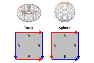 The fundamental polygons of the Torus and Sphere.
