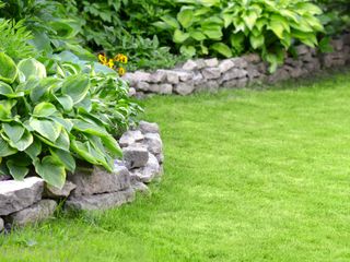lawn edging with rocks