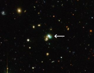Green Bean Galaxy J2240 (Annotated)