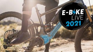 e-bike live maintenance cost 2021