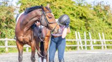 Rider holding horse and clutching head after falling off