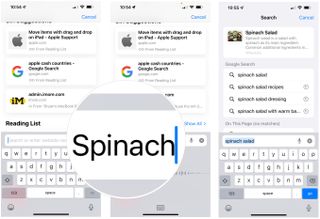 Safari voice search example