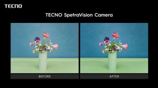 Before and after samples using the Tecno SpectraVision