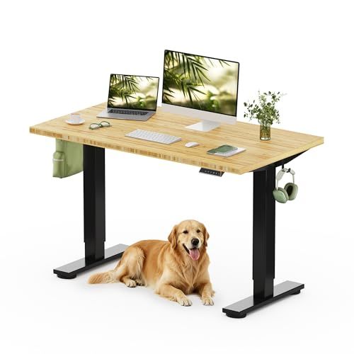 FlexiSpot 48-inch x 24-inch Solid Bamboo Standing Desk
