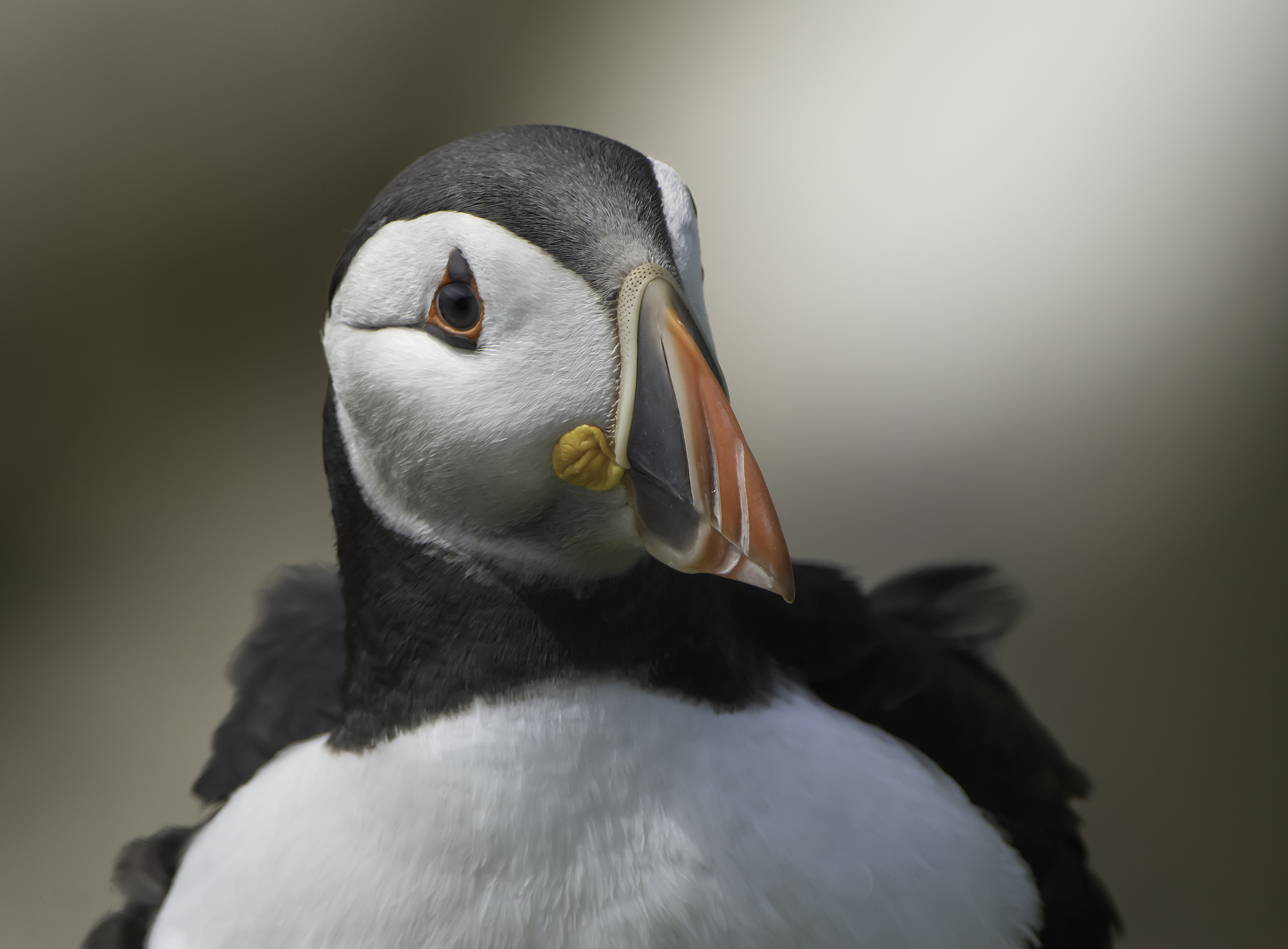 GuruShots - Nature&rsquo;s Masterpiece 2026