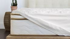 Best mattress protector on bed with plant beside on Saatva matress