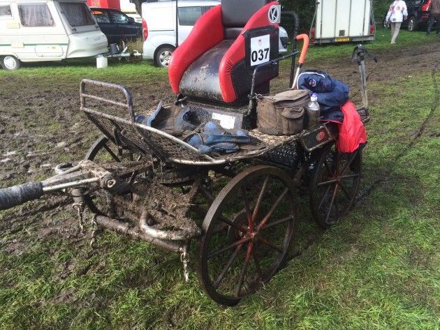 Anna's carriage after the marathon