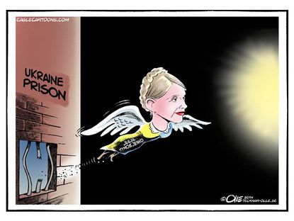 Political cartoon Ukraine Julia Tymosjenko