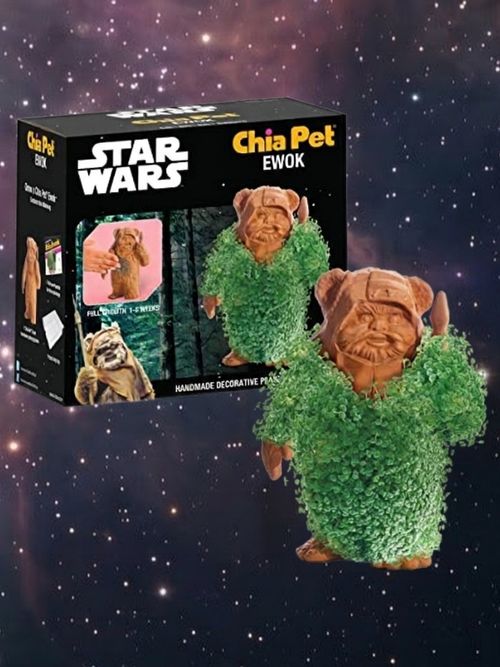 Pet Star Wars Ewok With Seed Pack