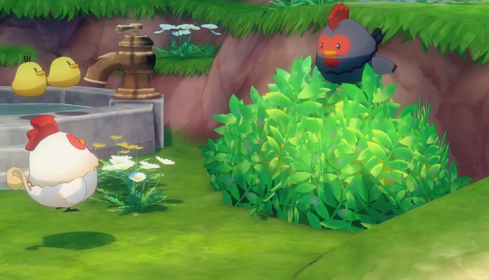Story of Seasons new game teaser - a black chicken pops out of a bush to surprise a white chicken and two yellow chicks playing beside a water fountain