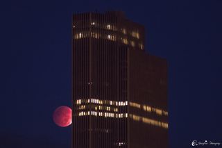 Oct. 8, 2014, Lunar Eclipse Seen in Albany, NY