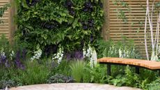 How to make a living wall: living wall against slatted wooden fence