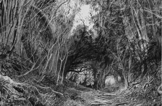 Hanging Hill by Stanley Donwood