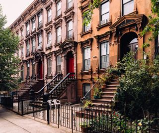 front yard area of a Brooklyn brownstone with black iron fencing