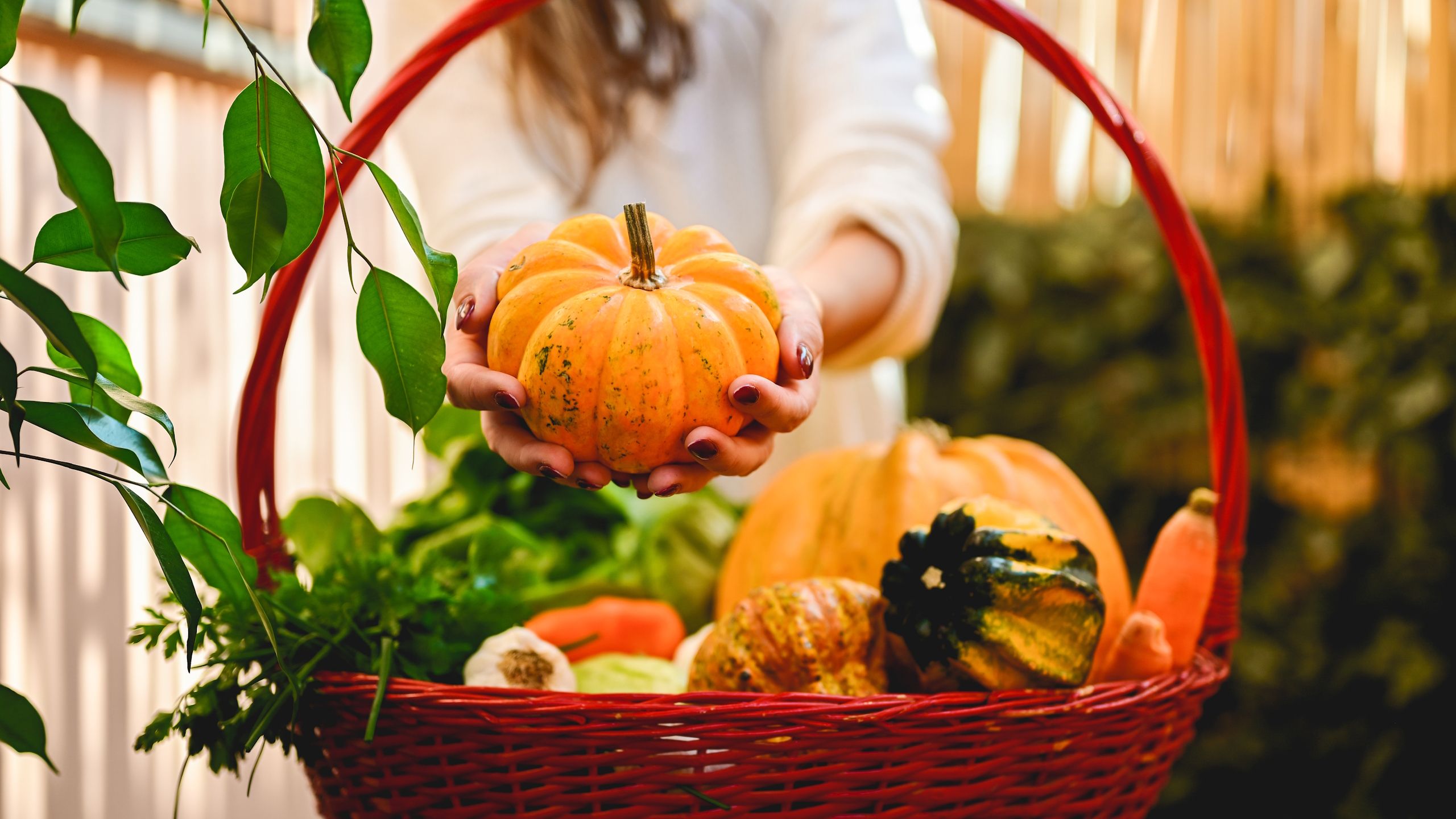 Pick These Vegetables for Seasonal Displays and Table Centerpieces – 7 Ornamental Crops to Harvest in September
