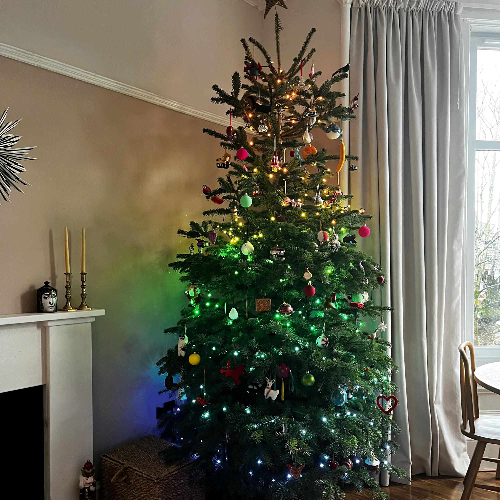 Colour-changing Philips Hue Festavia string lights on a Christmas tree