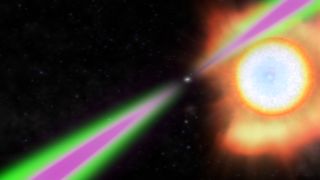 Spinning 390 times a second, the "black widow" pulsar PSR J1311−3430 periodically swings its radio (green) and gamma-ray (magenta) beams past Earth in this artist's concept. The pulsar heats the facing side of its stellar partner to temperatures twice as hot as the sun's surface and slowly evaporates it.