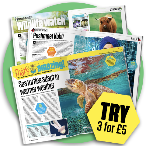 science and nature spreads