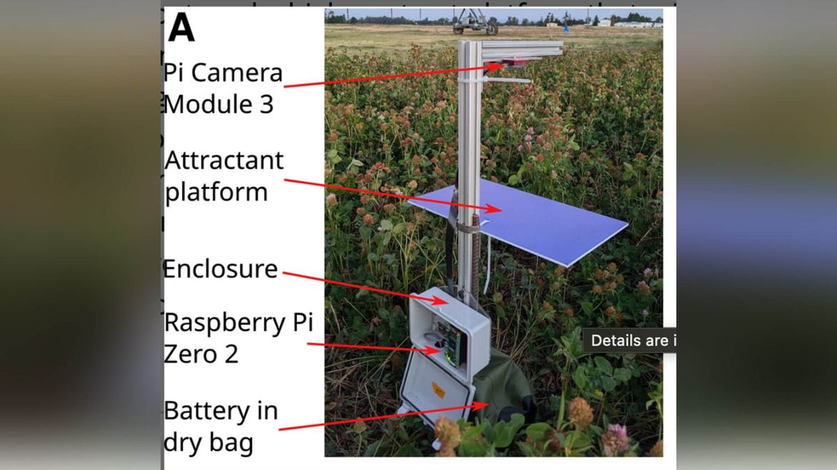 camera trap used to survey bees.