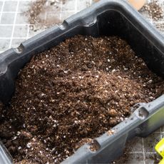 Perlite and vermiculite mixed with soil in seed tray