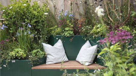 Bench surrounded by flowers in bloom