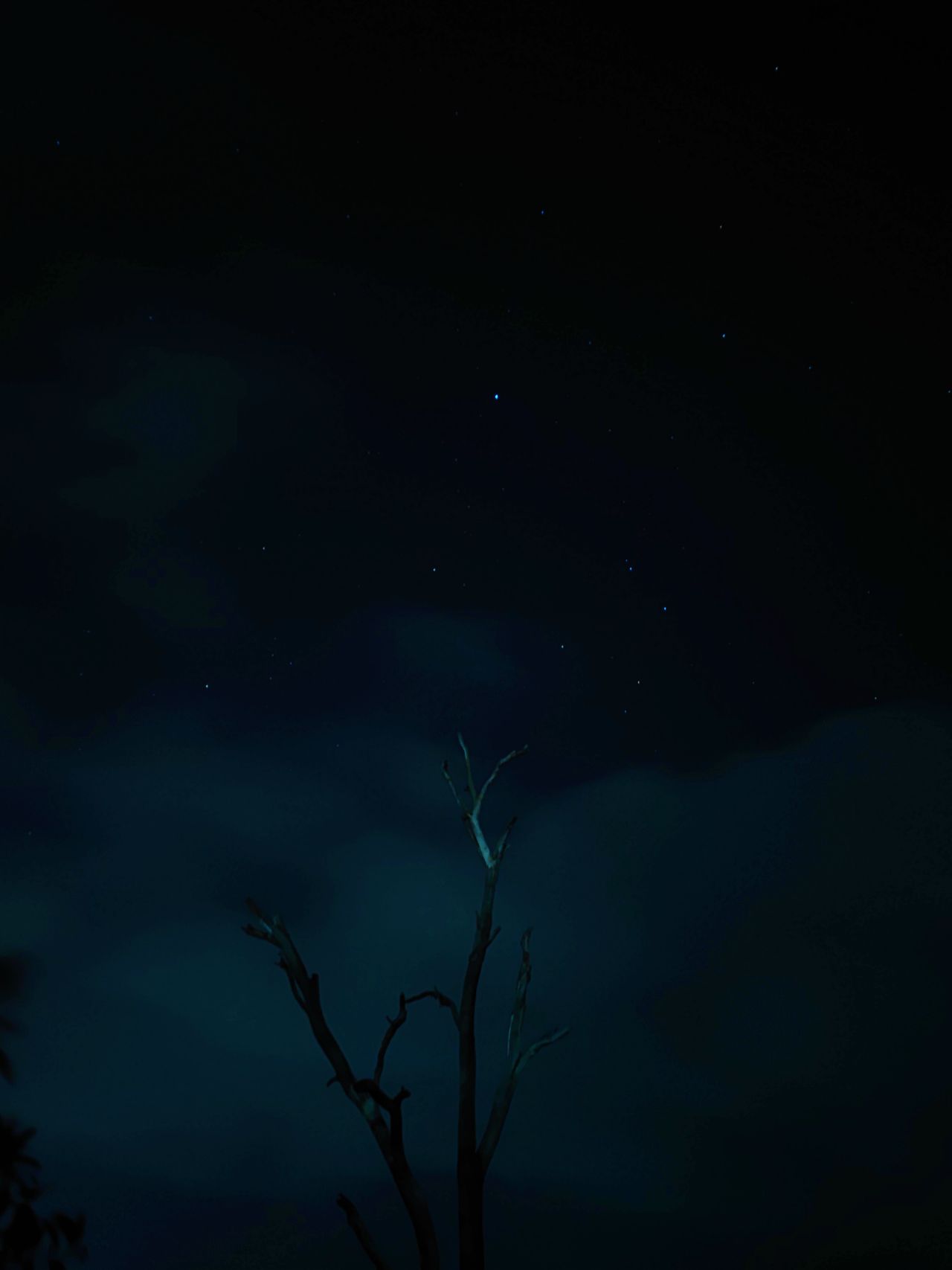 Xiaomi Mi 11 Ultra camera