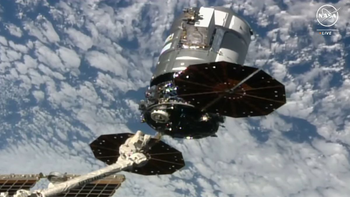 The Cygnus cargo ship departs the International Space Station on December 22 for a fiery return in the New Year (video)