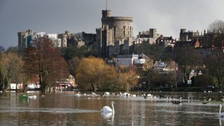 A swan swims in sight of Windsor Castle where the river Thames has burst it's banks in an area known as The Brocas on February 10, 2014 in Eton, England. The Environment Agency has issued severe flood warnings for a number of areas on the river Thames west of Londonvvv