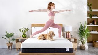 Panda Hybrid Bamboo Mattress