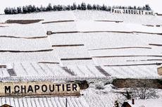 Hermitage vintage guide