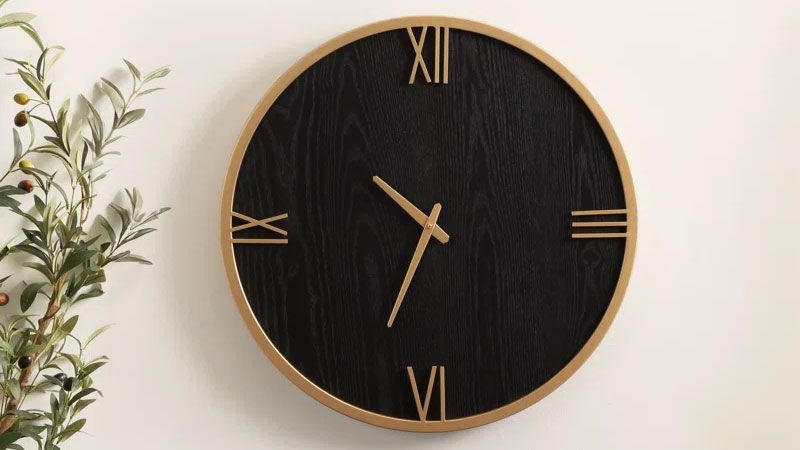black clock with Roman numerals on it on a wall next to a plant
