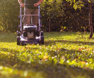 Mowing the grass with a lawn mower in garden at early autumn