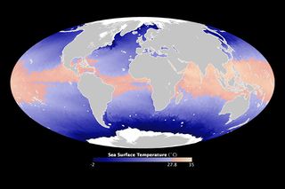 hurricane map of sea surface temperatures