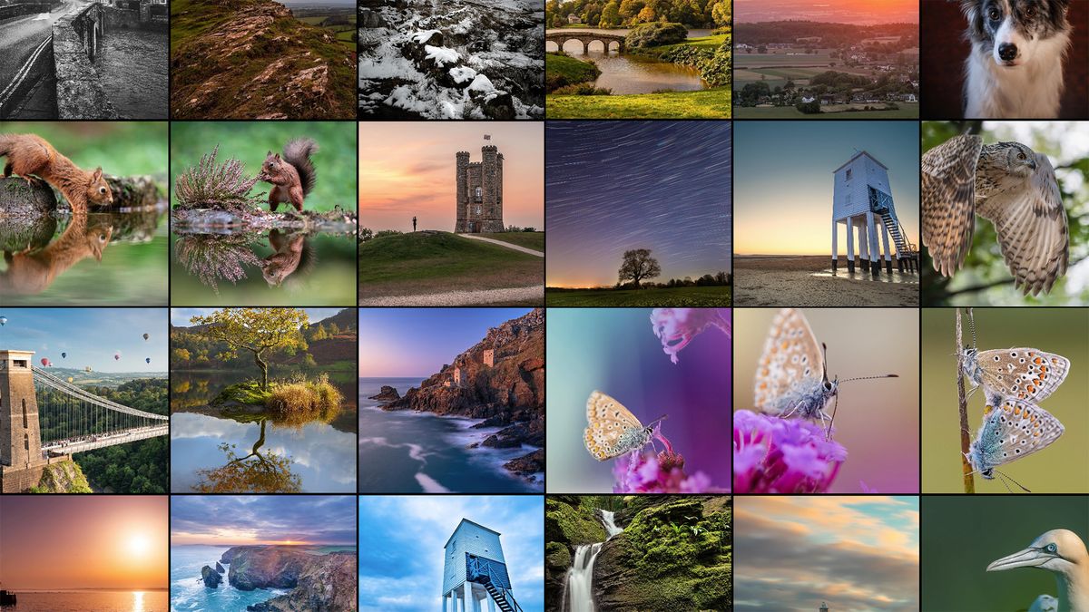 A 4 by 6 grid of images from various genres, depicting a collection of images you might capture during a 365 project