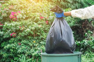 putting trash bag into bin outdoors