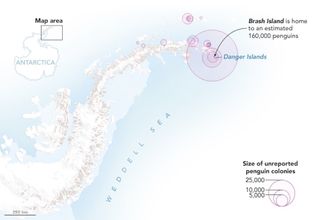 This map shows other locations along the Antarctic Peninsula where researchers detected previously unreported colonies of Adélie penguins.