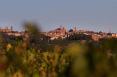 Silvio Nardi Montalcino