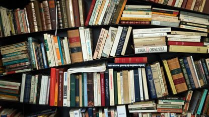 Bookshelves filled with multicoloured books