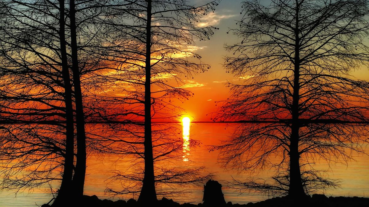 Monticello reservoir in South Carolina at sunset.