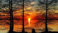 Monticello reservoir in South Carolina at sunset.