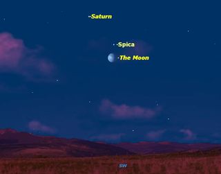 A pretty grouping of the planet Saturn, the bright star Spica, and the waning gibbous Moon occurs on Sunday, Feb. 12, 2012.