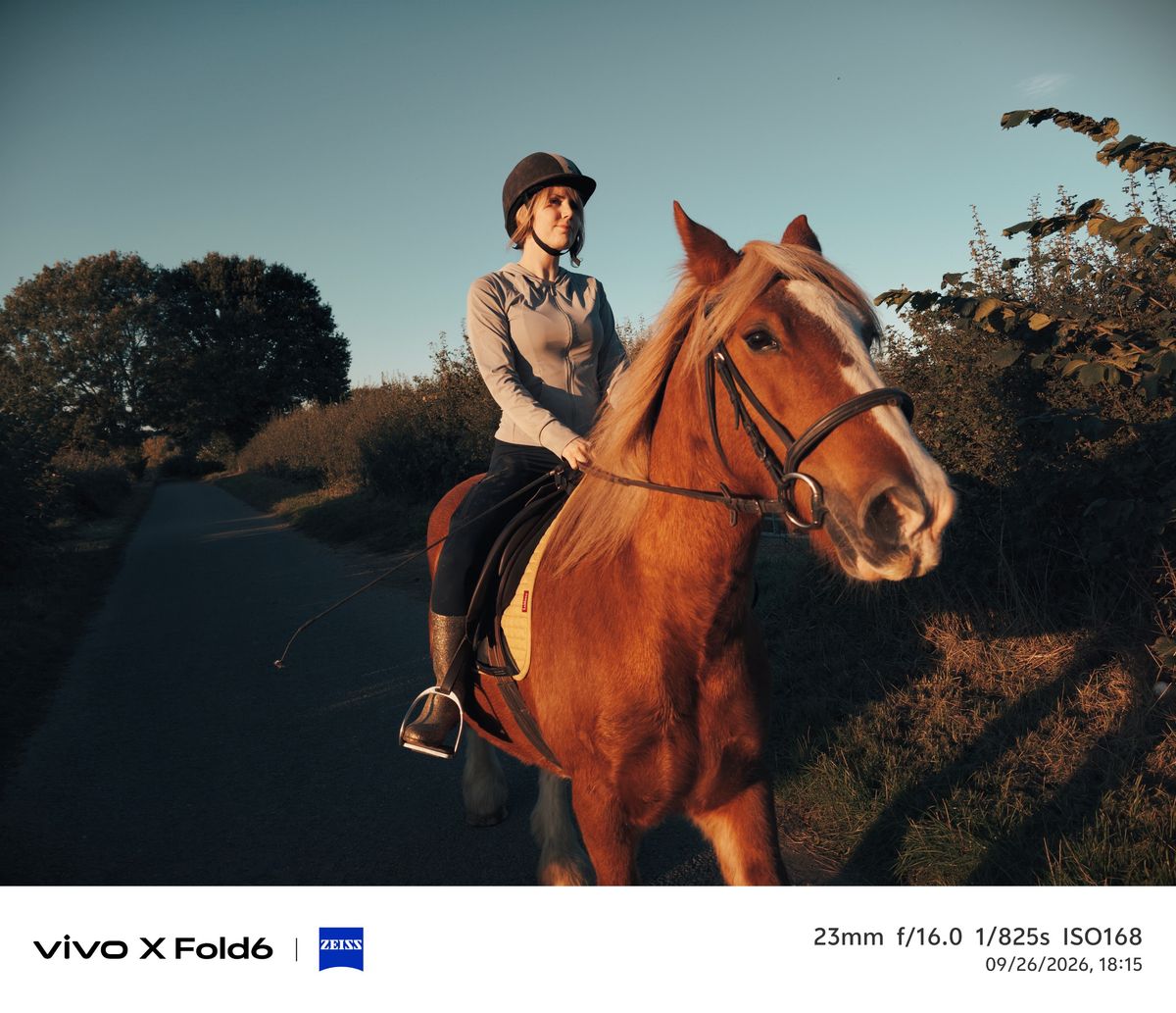 Sample photo taken on the Vivo X Fold 6