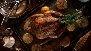 A roast turkey size for a small family photographed on a try with lemons and herbs