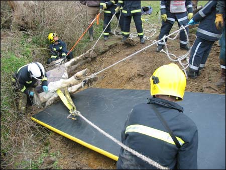 A ramp is put in place to make Merlin's exit easier