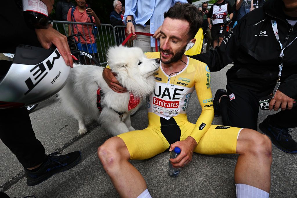 VILLARSSUROLLON SWITZERLAND JUNE 16 Adam Yates of The United Kingdom and UAE Team Emirates Yellow leader jersey celebrates at finish line as final overall winner with his dog Zoe during the 87th Tour de Suisse 2024 Stage 8 a 157km individual time trial stage from Aigle to VillarssurOllon 1249m UCIWT on June 16 2024 in VillarssurOllon Switzerland Photo by Tim de WaeleGetty Images