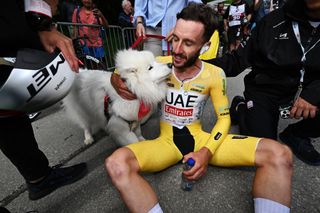 VILLARSSUROLLON SWITZERLAND JUNE 16 Adam Yates of The United Kingdom and UAE Team Emirates Yellow leader jersey celebrates at finish line as final overall winner with his dog Zoe during the 87th Tour de Suisse 2024 Stage 8 a 157km individual time trial stage from Aigle to VillarssurOllon 1249m UCIWT on June 16 2024 in VillarssurOllon Switzerland Photo by Tim de WaeleGetty Images